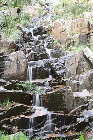 Kings falls looking up