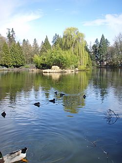 Laurelhurst Park.jpg