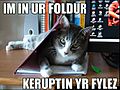 Lolcat in folder