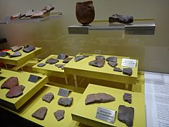 MuseoArqueologico-Jerez MIN-DSC05288