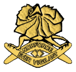 NORFORCE cap badge.gif