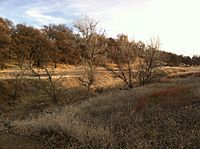 Oroville wildlife area