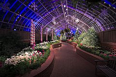 Phipps Conservatory winter 2015 Serpentine Room