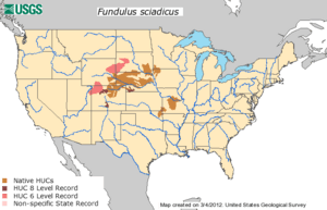 Plains Topminnow Distribution