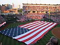 Progressive Field Flag