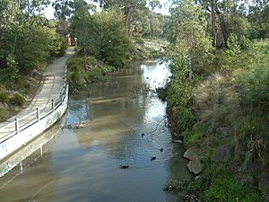 Ringwood Mulu, Mulum Creek1