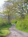 Roughwood Road looking towards Burnside