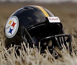 Steelers helmet on grass field