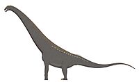 Uberabatitan riberoi profile reconstruction.jpg