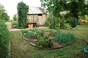 Vegetable.garden