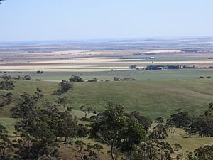 View from Spring Gully2