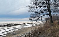 Wendt Beach March 2007