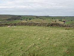 (The site of) Milecastle 46 (Carvoran) - geograph.org.uk - 1374335.jpg