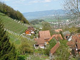 080426 ch wienacht talblick weinberg.jpg