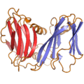 2w0c monomer