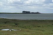 Aberlady Bay - geograph.org.uk - 313560