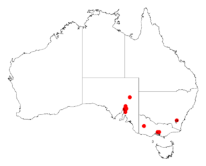 Acacia gracilifoliaDistMap402.png