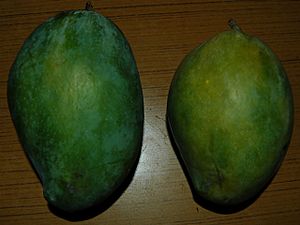 Alampur Benishan Mangoes