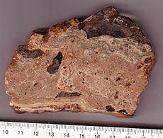 Azuara-impact-structure-Shocked breccia