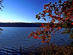 Badin Lake viewed from Uwharrie National Forest.JPG