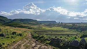 Bale Mountains National Park (49849581626)