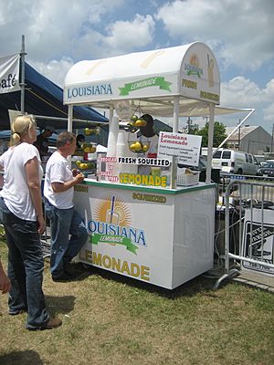 BayouBoogaloo2010FoodBoothsLemonade