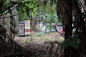 Beehives Milnthorpe