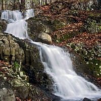 Blackrock Falls SouthMtnRes Essex NJ