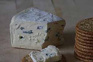 Cambozola cheese.jpg