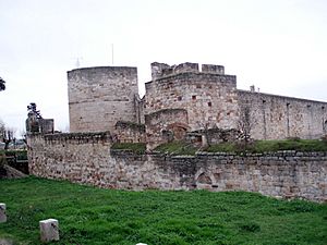 Castillodezamora.jpg