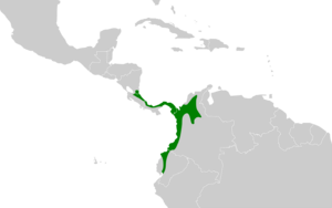 Celeus loricatus map.svg