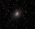 Centaurus a Mark Johnston