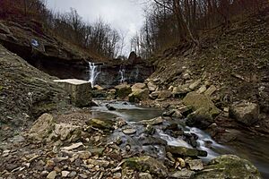 Chedoke Lower Falls.jpg