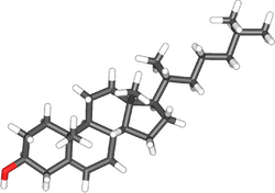 Cholesterol-3d.png