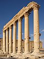 Columns in the inner court of the Bel Temple Palmyra Syria