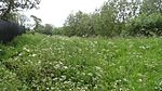 Down Barns Moated Site 2.JPG