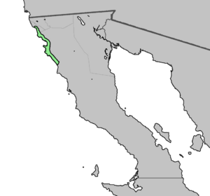 Dudleya brittonii distribution map.png