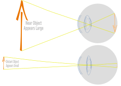 Eye and ray path3.svg