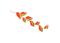 Flag of the Patujú flower.svg