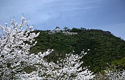 IwakuniCastle