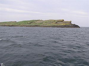 Large Skerries - geograph.org.uk - 896624.jpg