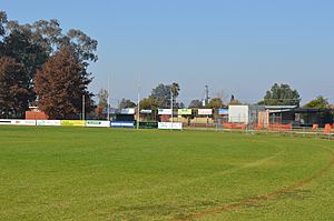 Lavington Urana Road Oval 002