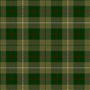 MacKinnon Hunting tartan (Lyon Court).jpg