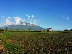 Mt Isarog viewed from Naga City