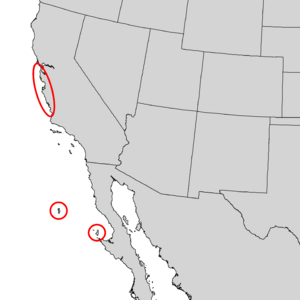 Pinus radiata range map 2.png