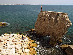 Pisan Harbor, Acre (3308781836)