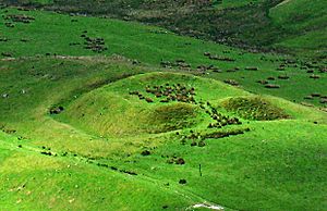 Roman Fortlet from Durisdeer Rig