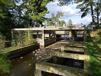 Round Lake Logging Dam.jpg