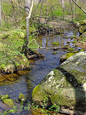 Ruth Zimmerman Natural Area (3).jpg