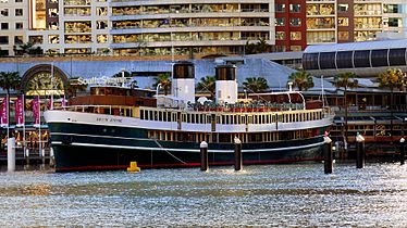 S.S. South Steyne. Darling Harbour. (21217410002)